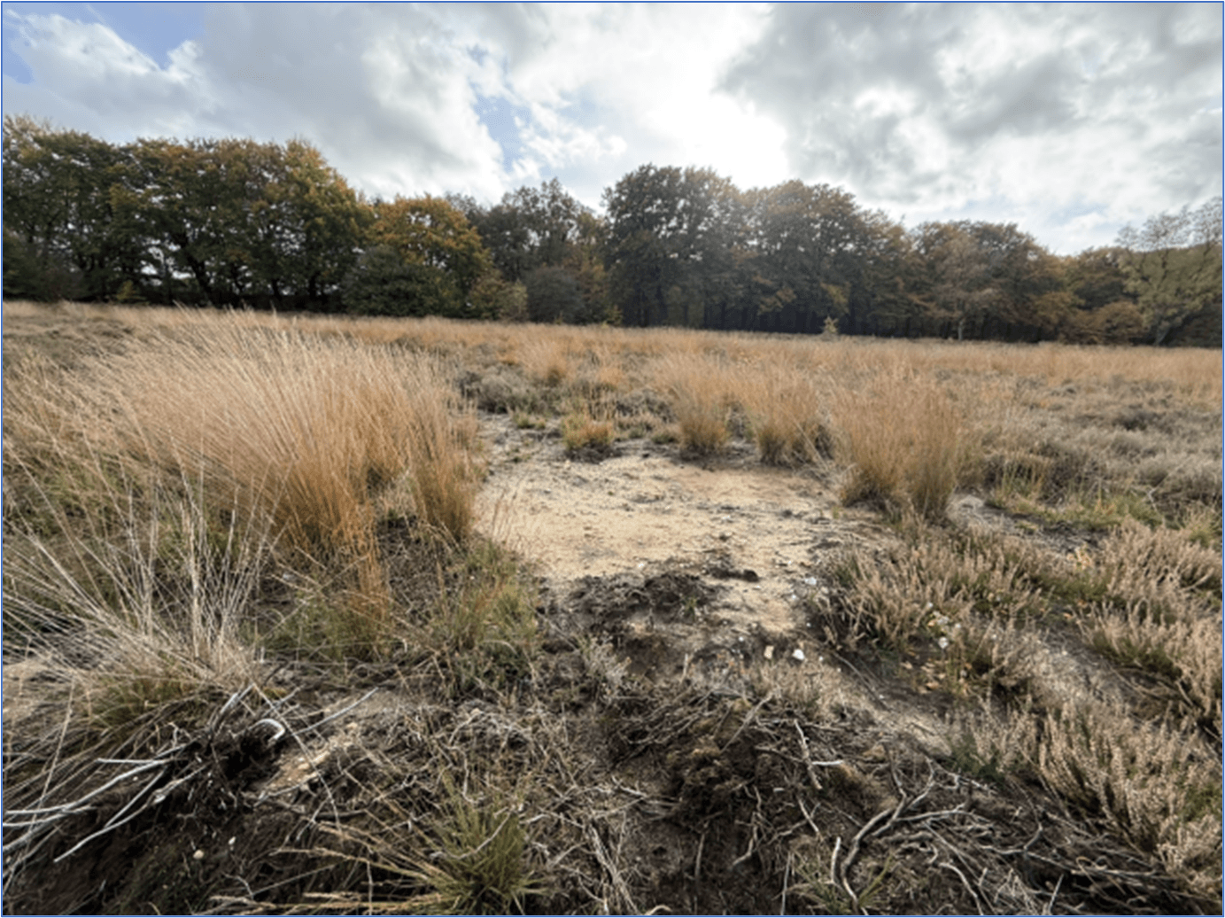 Heideherstel, Renkum